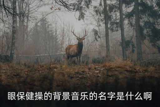 眼保健操的背景音樂(lè)的名字是什么啊