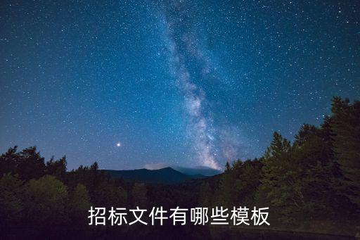 招標(biāo)文件模板，招標(biāo)文件范本