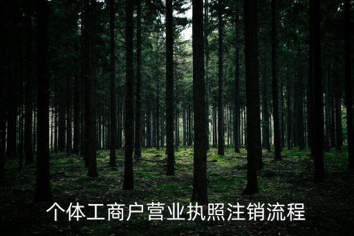 個體工商戶營業(yè)執(zhí)照注銷流程
