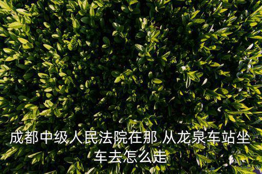 成都市中級法院坐幾號線，成都中級人民法院在那 從龍泉車站坐車去怎么走