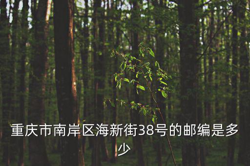 重慶市南岸區海新街38號的郵編是多少