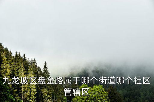 重慶市開州區桃金路508線，九龍坡區盤金路屬于哪個街道哪個社區管轄區