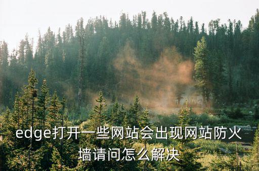 edge打開一些網站會出現網站防火墻請問怎么解決