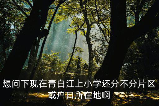 想問下現(xiàn)在青白江上小學(xué)還分不分片區(qū)或戶口所在地啊