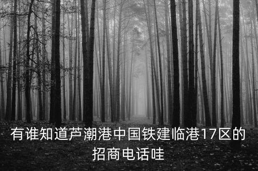 有誰知道蘆潮港中國鐵建臨港17區的招商電話哇