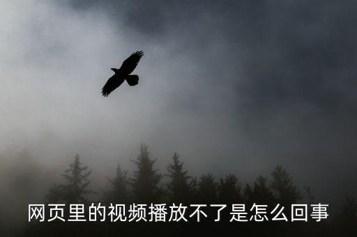 網頁里的視頻播放不了是怎么回事