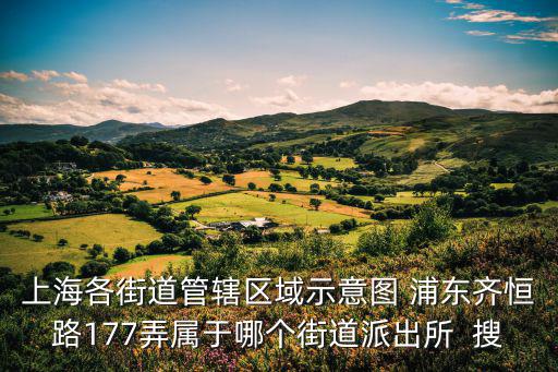 上海各街道管轄區(qū)域示意圖 浦東齊恒路177弄屬于哪個(gè)街道派出所  搜