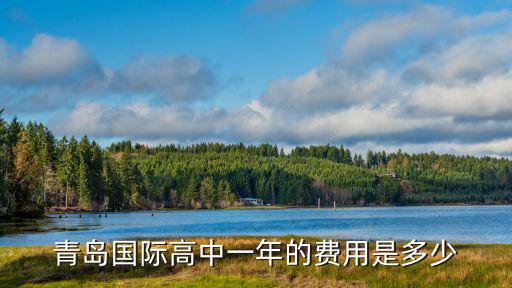 青島國際高中一年的費(fèi)用是多少