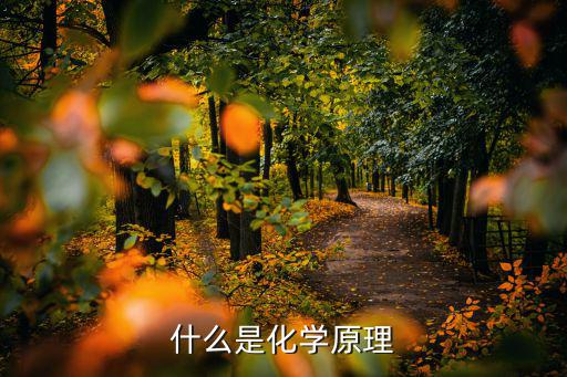 什么是化學(xué)原理
