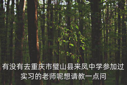有沒有去重慶市璧山縣來鳳中學(xué)參加過實習(xí)的老師呢想請教一點問