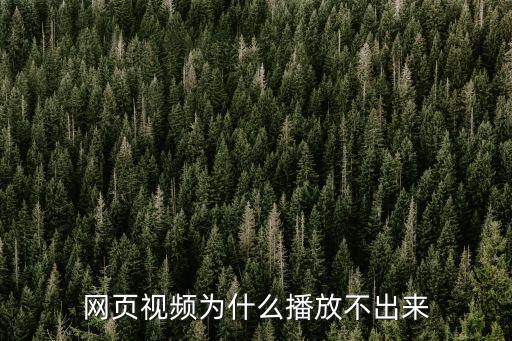網頁視頻為什么播放不出來