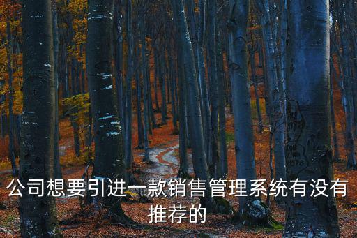 企業(yè)營銷管理系統(tǒng)，銷售管理系統(tǒng)的的使用方法和流程詳細說的可加分