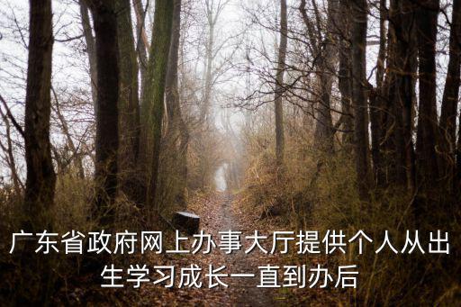 廣東省政府網上辦事大廳提供個人從出生學習成長一直到辦后