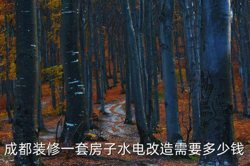 成都裝修一套房子水電改造需要多少錢