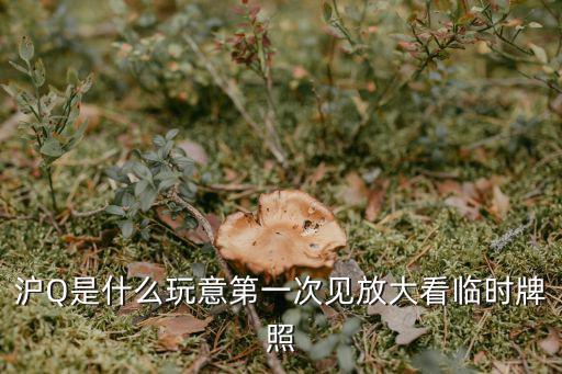 上海全景地圖可以放大看到車牌的，dd地圖 上海