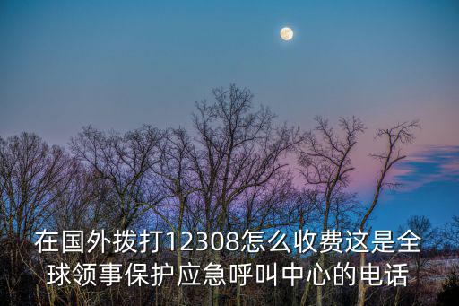 10個日常緊急電話，我國常用報警電話有哪些呀