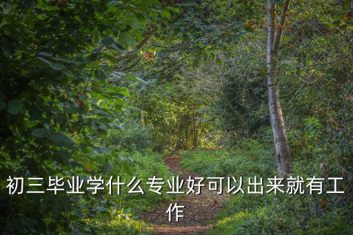 初三畢業，初三畢業學什么專業好可以出來就有工作