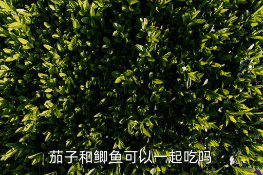 鯽魚燉茄子，茄子和鯽魚可以一起吃嗎