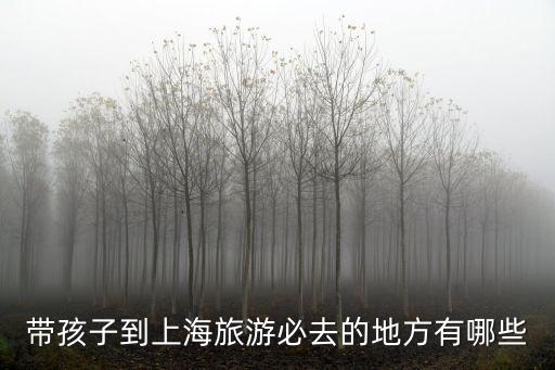 上海帶娃旅游必去景點推薦，帶孩子到上海旅游必去的地方有哪些