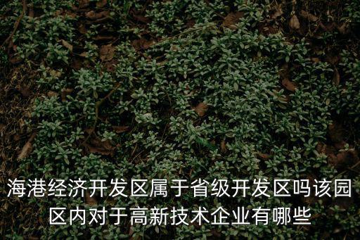 海港經濟開發區屬于省級開發區嗎該園區內對于高新技術企業有哪些