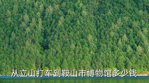 從立山打車到鞍山市博物館多少錢