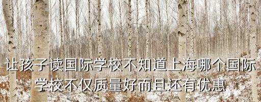 讓孩子讀國際學校不知道上海哪個國際學校不僅質量好而且還有優惠