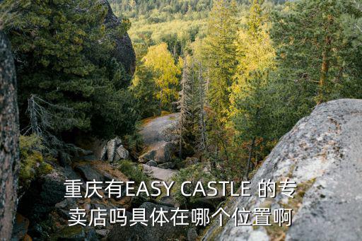 重慶有EASY CASTLE 的專賣店嗎具體在哪個位置啊