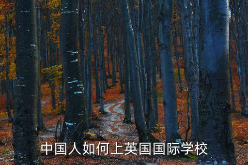 中國(guó)人如何上英國(guó)國(guó)際學(xué)校