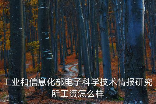 工業(yè)和信息化部電子科學(xué)技術(shù)情報研究所工資怎么樣