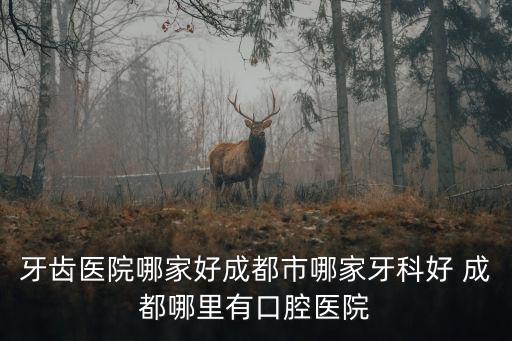牙齒醫院哪家好成都市哪家牙科好 成都哪里有口腔醫院