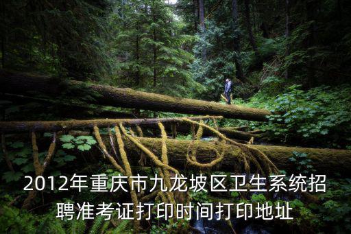 重慶市高級衛生考試 準考證，2012年重慶市九龍坡區衛生系統考試準考證在哪打印打印時間是什么