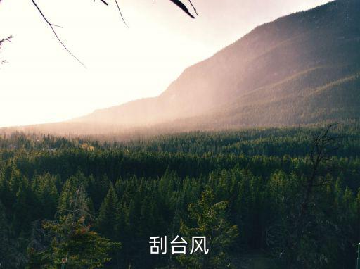 刮臺風，刮臺風