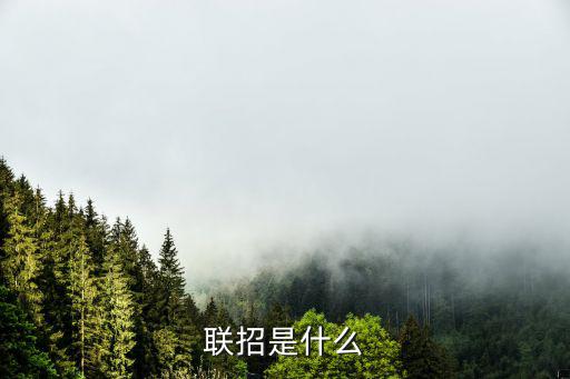 聯(lián)招是什么