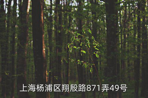 上海市楊浦區法律援助中心地址，上海市楊浦區包頭路63號在什么位置