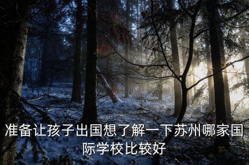 準(zhǔn)備讓孩子出國想了解一下蘇州哪家國際學(xué)校比較好