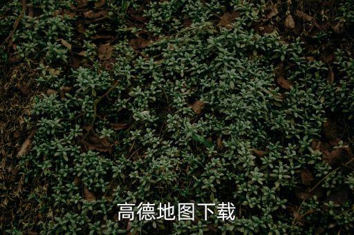 高德地圖下載