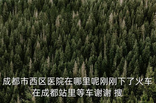 成都市西區(qū)醫(yī)院能停車嗎，請問四川華西醫(yī)院里面能停車嗎