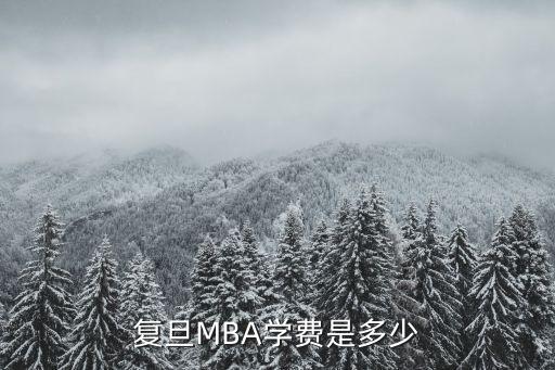 復旦wlsa學校學費，復旦MBA學費是多少