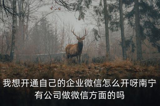 我想開(kāi)通自己的企業(yè)微信怎么開(kāi)呀南寧有公司做微信方面的嗎