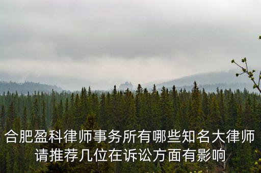合肥盈科律師事務(wù)所有哪些知名大律師請(qǐng)推薦幾位在訴訟方面有影響