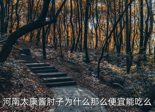 河南太康醬肘子為什么那么便宜能吃么