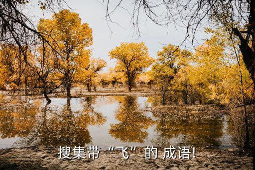 關(guān)于飛的成語,第二集:飛蛾撲火的故事