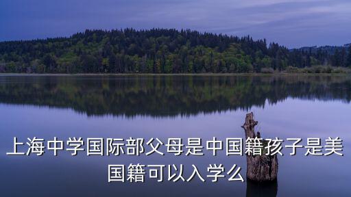 上海中學(xué)國際部收中國學(xué)生嗎，誰在上海中學(xué)國際部以前上過的也可以