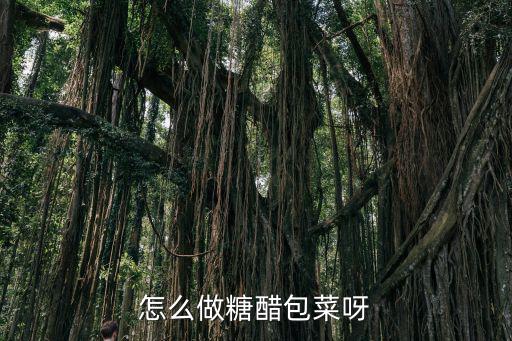 怎么做糖醋包菜呀