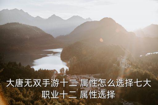 大唐無雙手游十二 屬性怎么選擇七大職業(yè)十二 屬性選擇