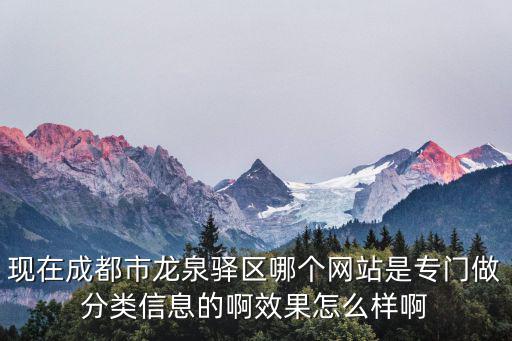 現(xiàn)在成都市龍泉驛區(qū)哪個網(wǎng)站是專門做分類信息的啊效果怎么樣啊