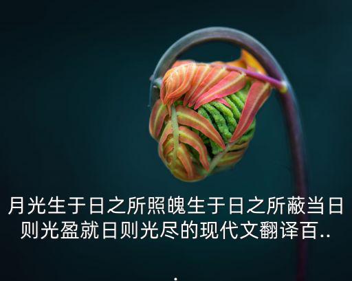 月光生于日之所照魄生于日之所蔽當日則光盈就日則光盡的現代文翻譯百...