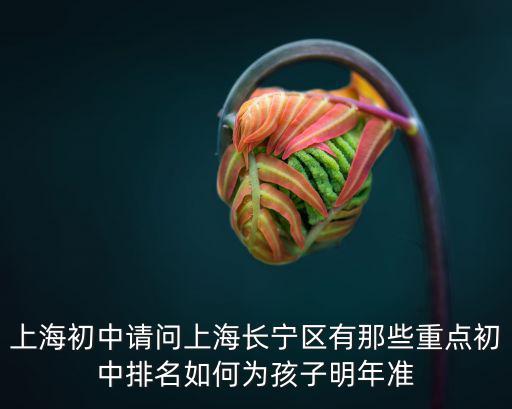 上海初中請(qǐng)問(wèn)上海長(zhǎng)寧區(qū)有那些重點(diǎn)初中排名如何為孩子明年準(zhǔn)