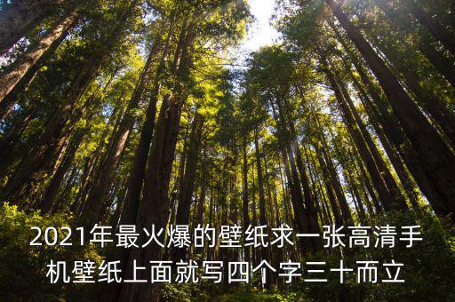 2021年最火爆的壁紙求一張高清手機壁紙上面就寫四個字三十而立