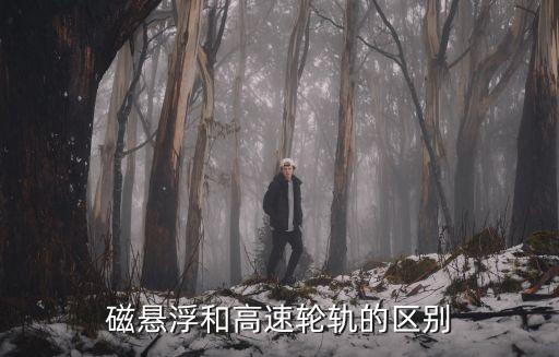 磁懸浮和高速輪軌的區(qū)別